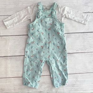 Carter’s Overall Outfit 9 month